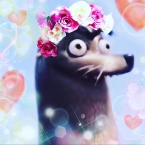 Meet your Posher, Chloe